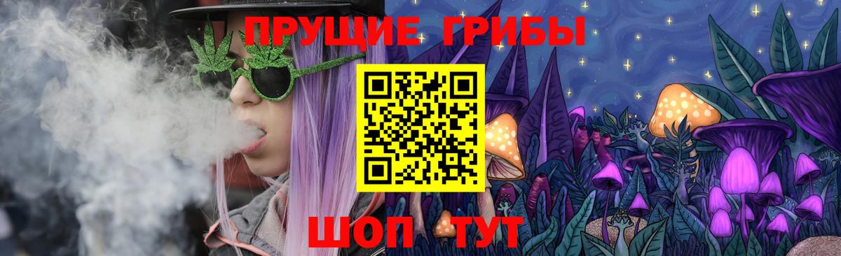 Псилоцибиновые грибы ЛСД  Псилоцибиновые грибы GOLDEN TEACHER  Вход с VPN  Домодедово 